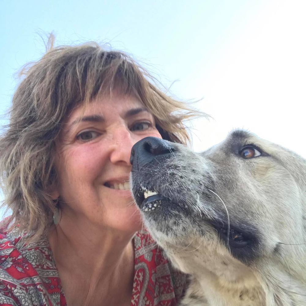 Meet your Posher, Marie
